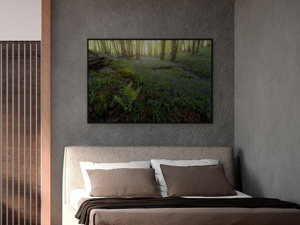 The bluebell awakening at 120 × 80 cm in a black floater frame, above a bed (room view)