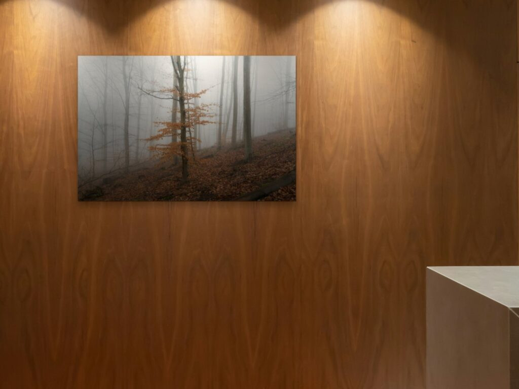 The ember wood at 120 × 80 cm on a walnut wall lit by spotlights (room view)